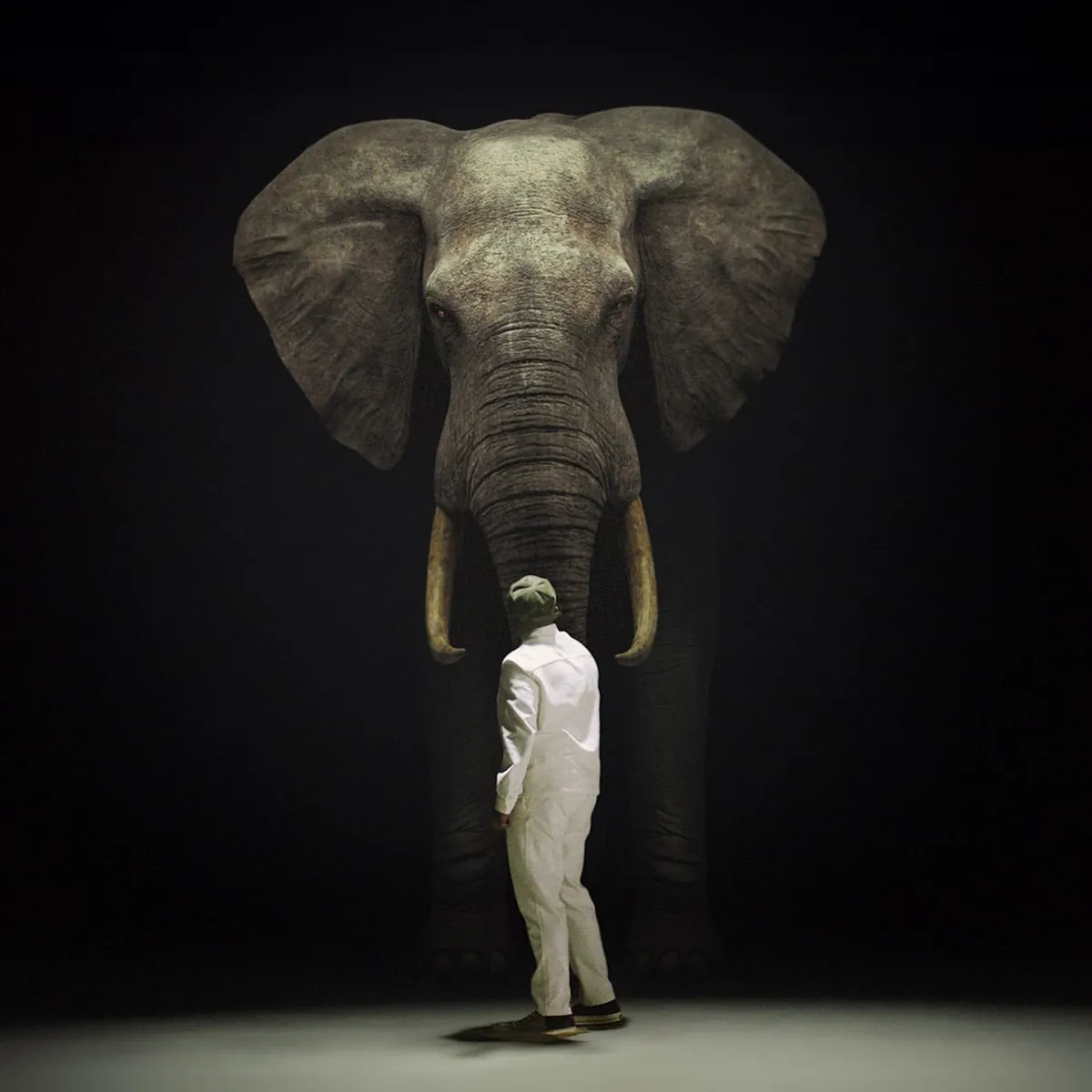 Een man in wit staat voor een grote olifant in een donkere ruimte